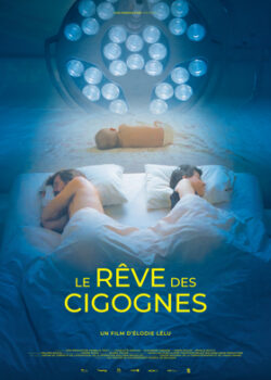 Le rêve des cigognes : Projection à Marche-en-Famenne @ Le Tiroir des Saveurs