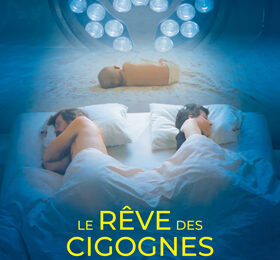 Le rêve des cigognes
