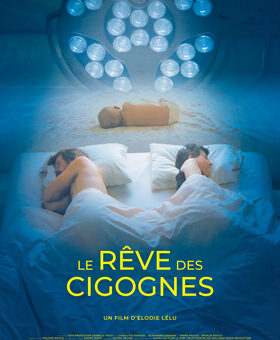 Le rêve des cigognes : Projection à Marche-en-Famenne